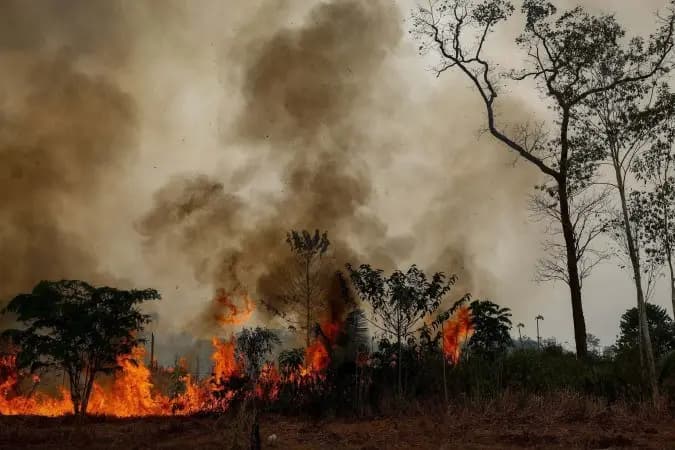 Governo aprova R$ 45,2 mi para ações contra queimadas e estiagem no Amazonas