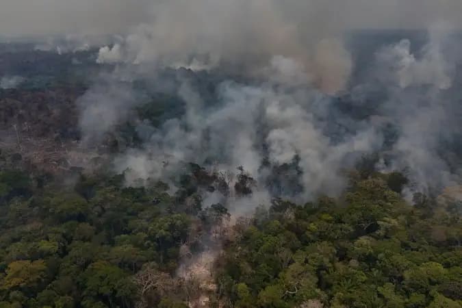 Amazônia registra menor área de desmatamento desde 1985, aponta MapBiomas