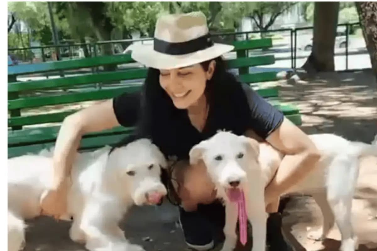 Letícia Sabatella celebra: "Reencontro dos irmãos está cada vez mais perto"