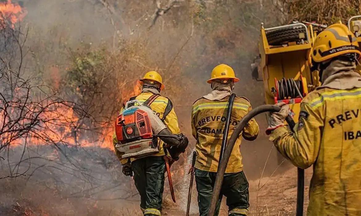 Governo reforça combate a incêndios e fiscalização ambiental no Pará
